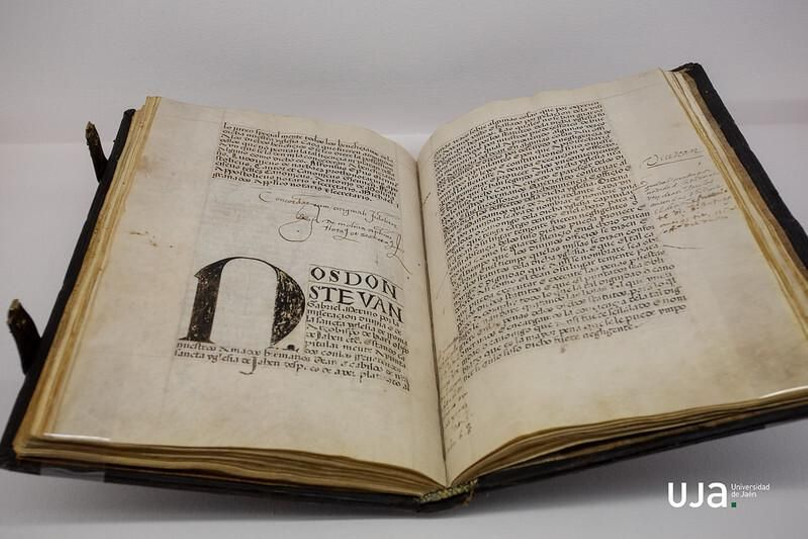 Constatia, la exposición que recuerda al Cardenal Merino en la Catedral de Jaén