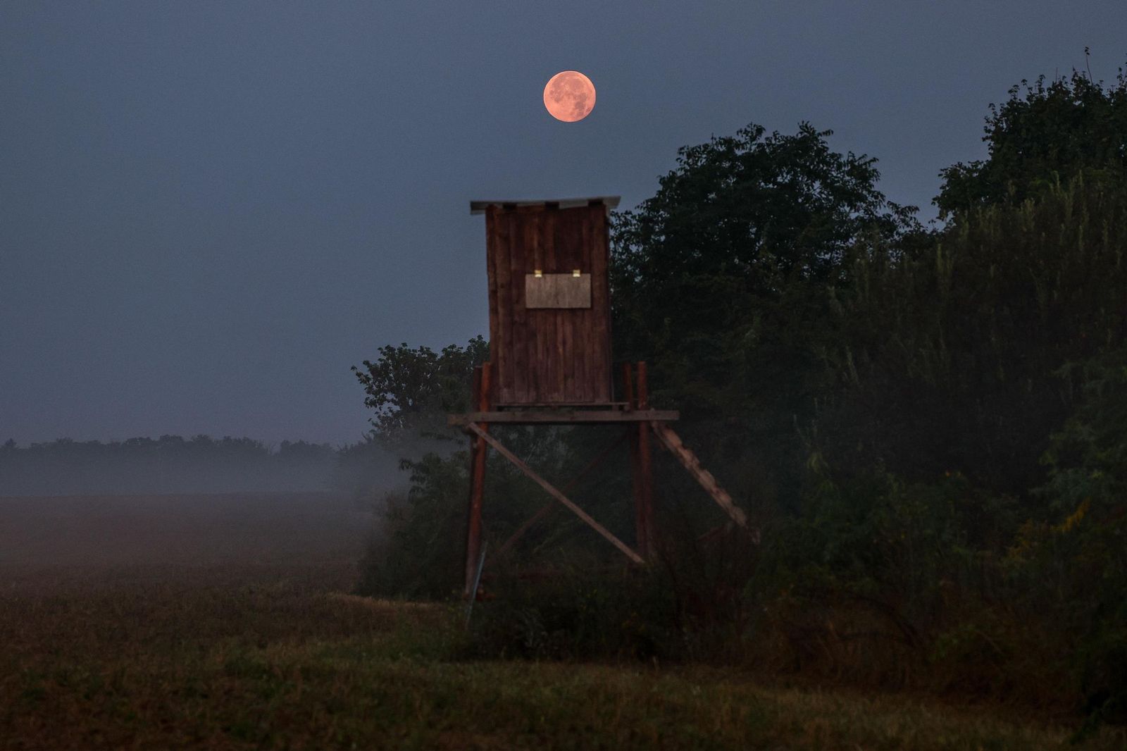 La Superluna azul captada en diferentes partes del planeta: un disfrute visual de la Luna del Esturión