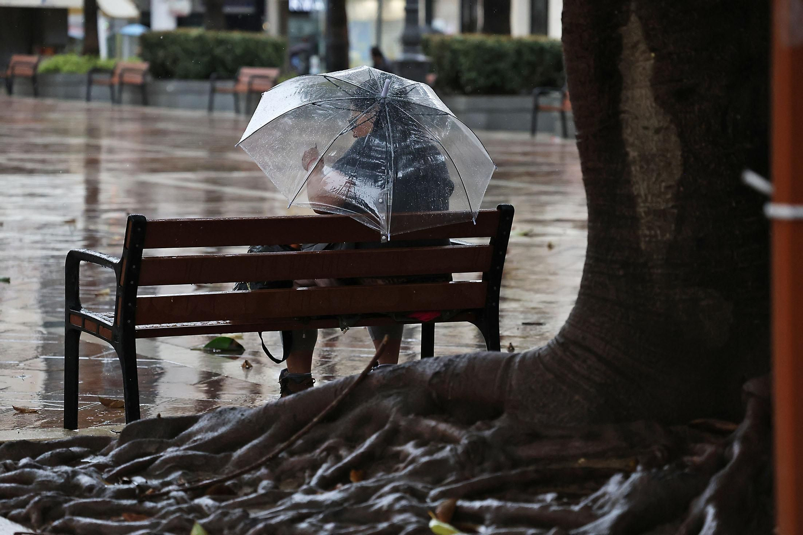 Las imágenes de la lluviosa mañana del jueves 13 de marzo en Huelva