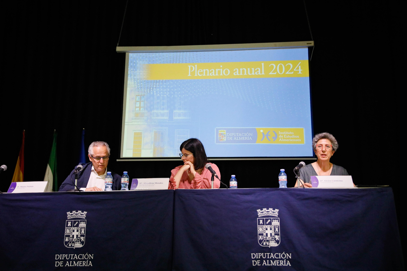 Imágenes de la entrega de los Escudos de Oro del IEA y la celebración de su Plenario