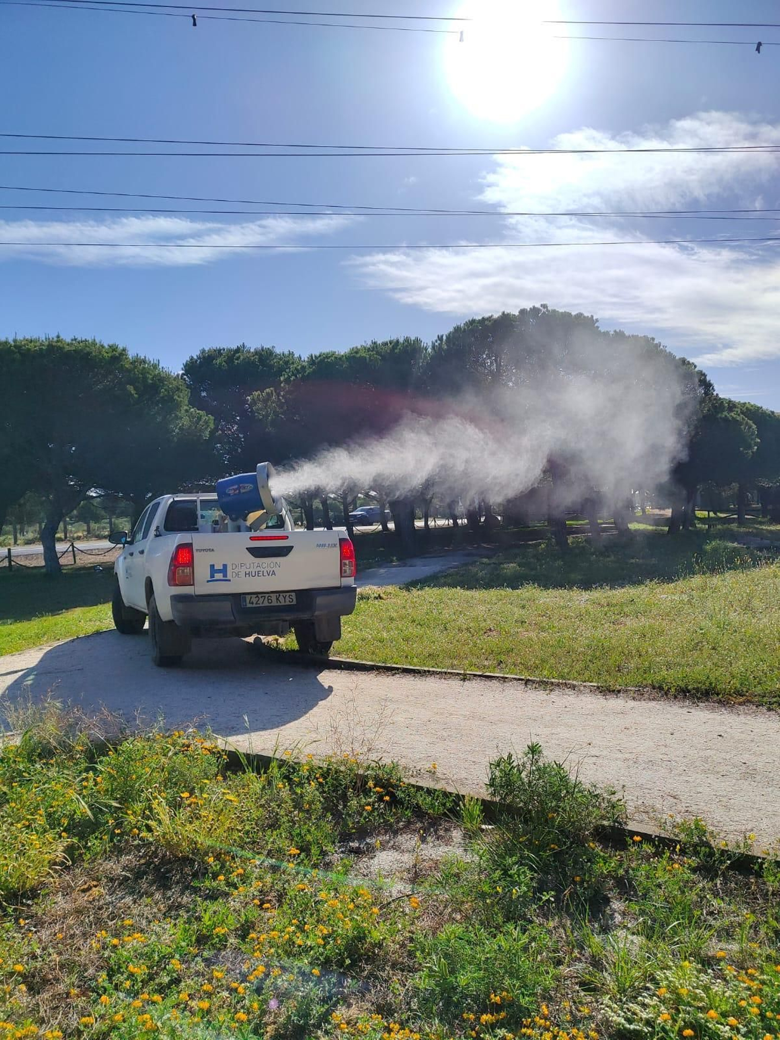 El Servicio de Control de Plagas previene la llegada de mosquitos.