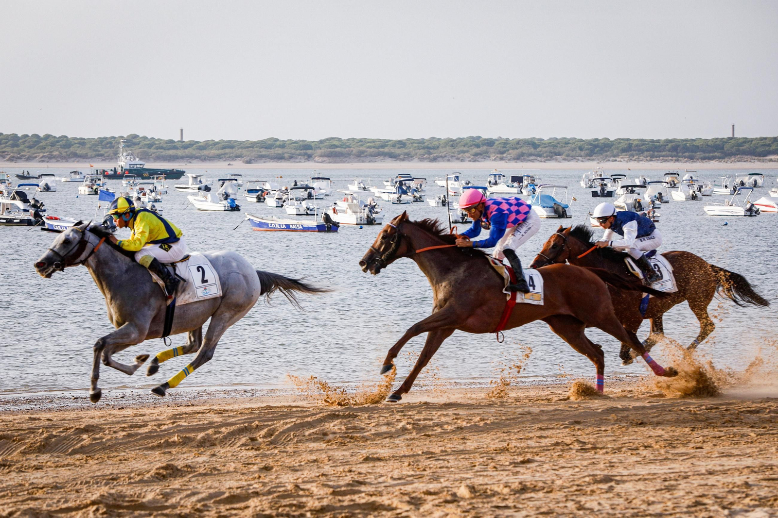 Imágenes de la segunda jornada del ciclo inicial de las Carreras de Caballos de Sanlúcar 2025