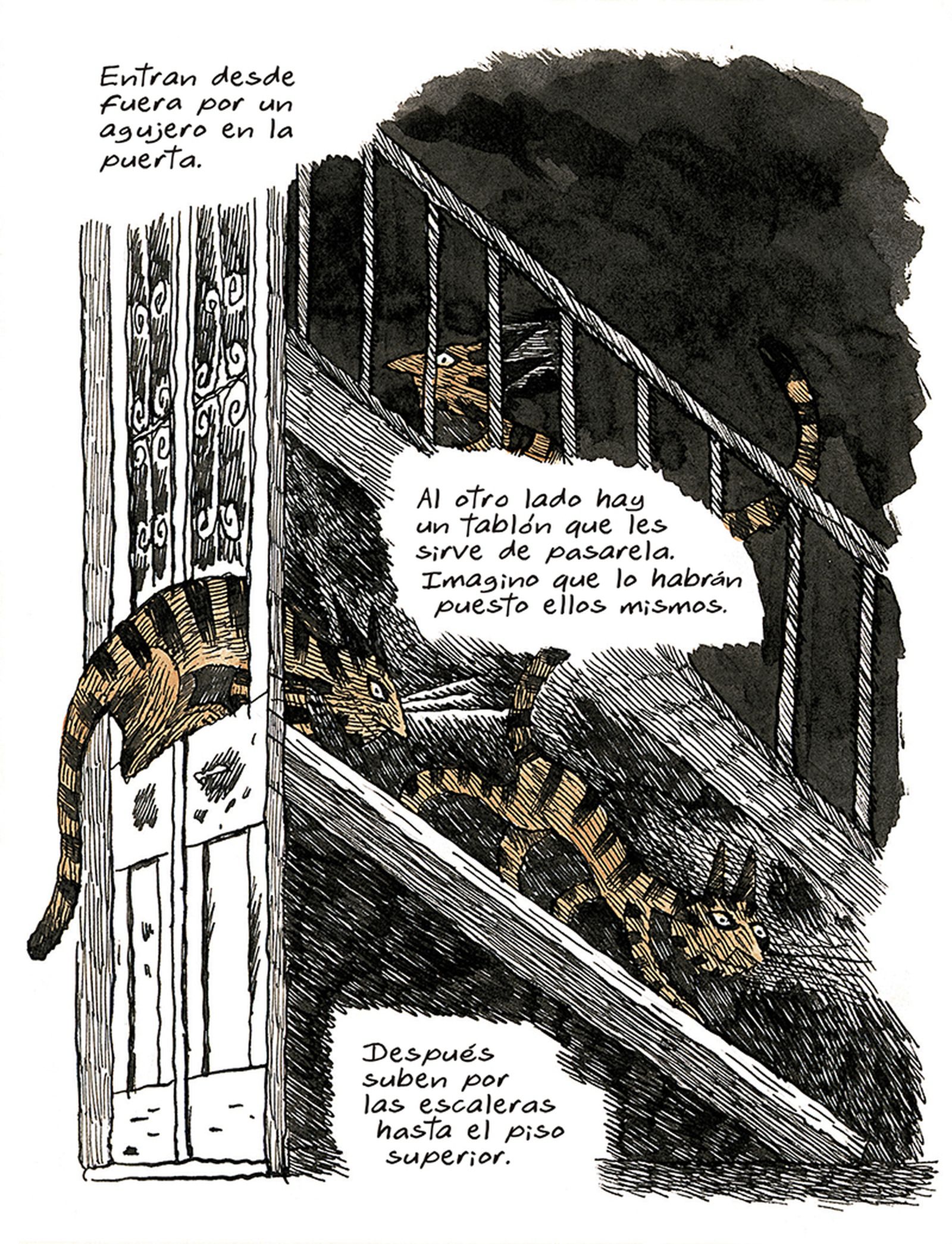 Otra muestra de la obra.