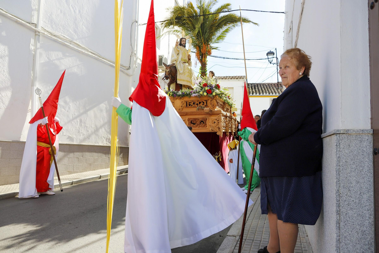 La procesión de la Borriquita en Villanueva de Córdoba, en imágenes