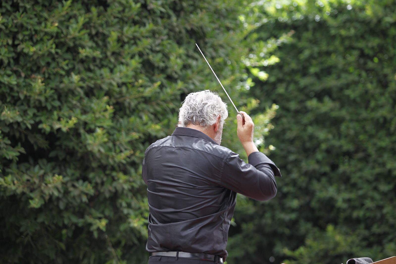 Fotogalería concierto Banda Sinfónica Municipal. Feria de Almería 2019