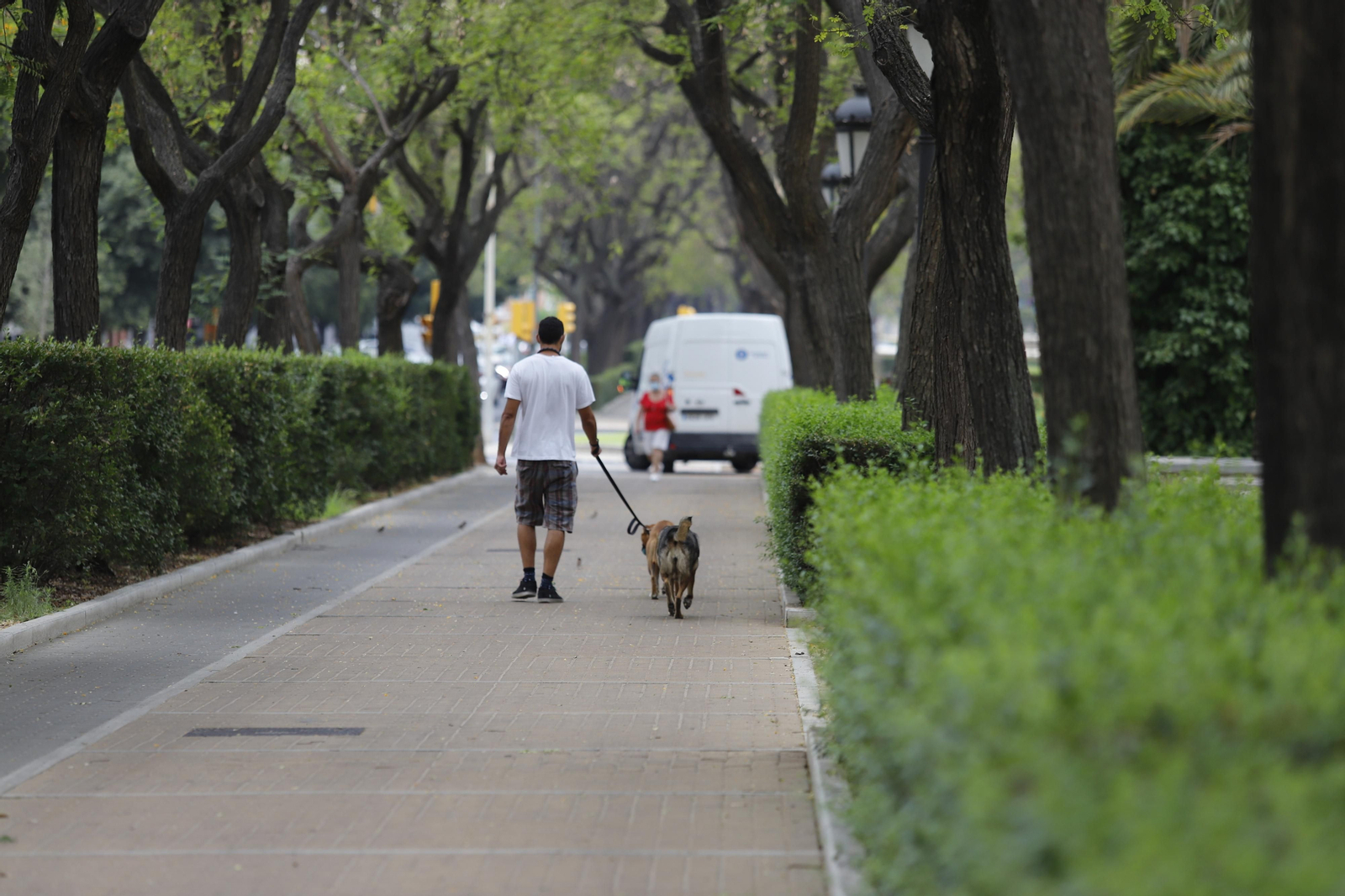 Imágenes del deterioro en la Avenida de Andalucía