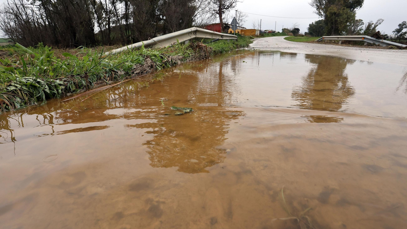 Imágenes del temporal de viento y lluvia en Jerez
