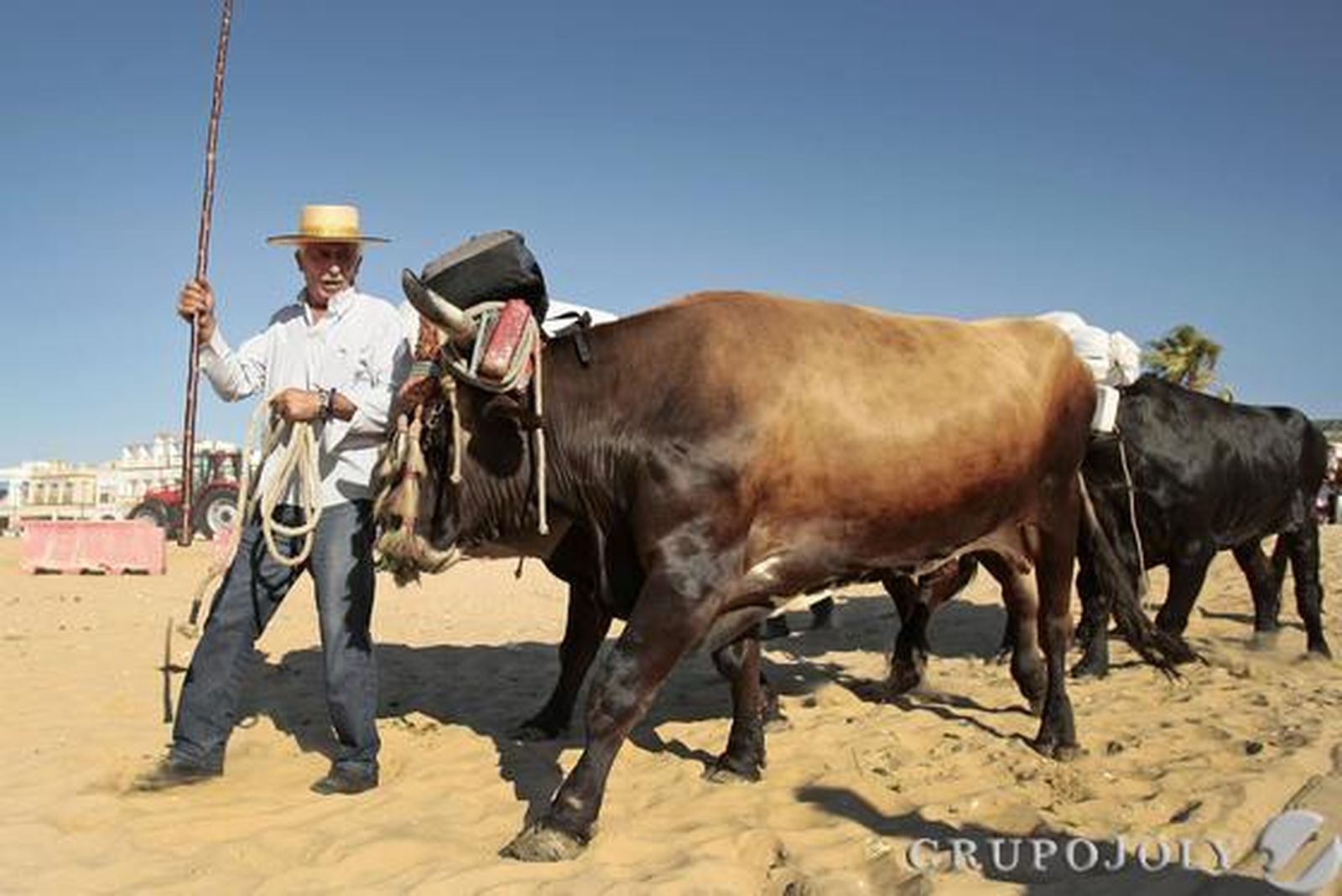 El Simpecado de la capital inicia su camino mientras las primeras hermandades gaditanas alcanzan Bajo de Guía. 

Foto: Fito Carreto