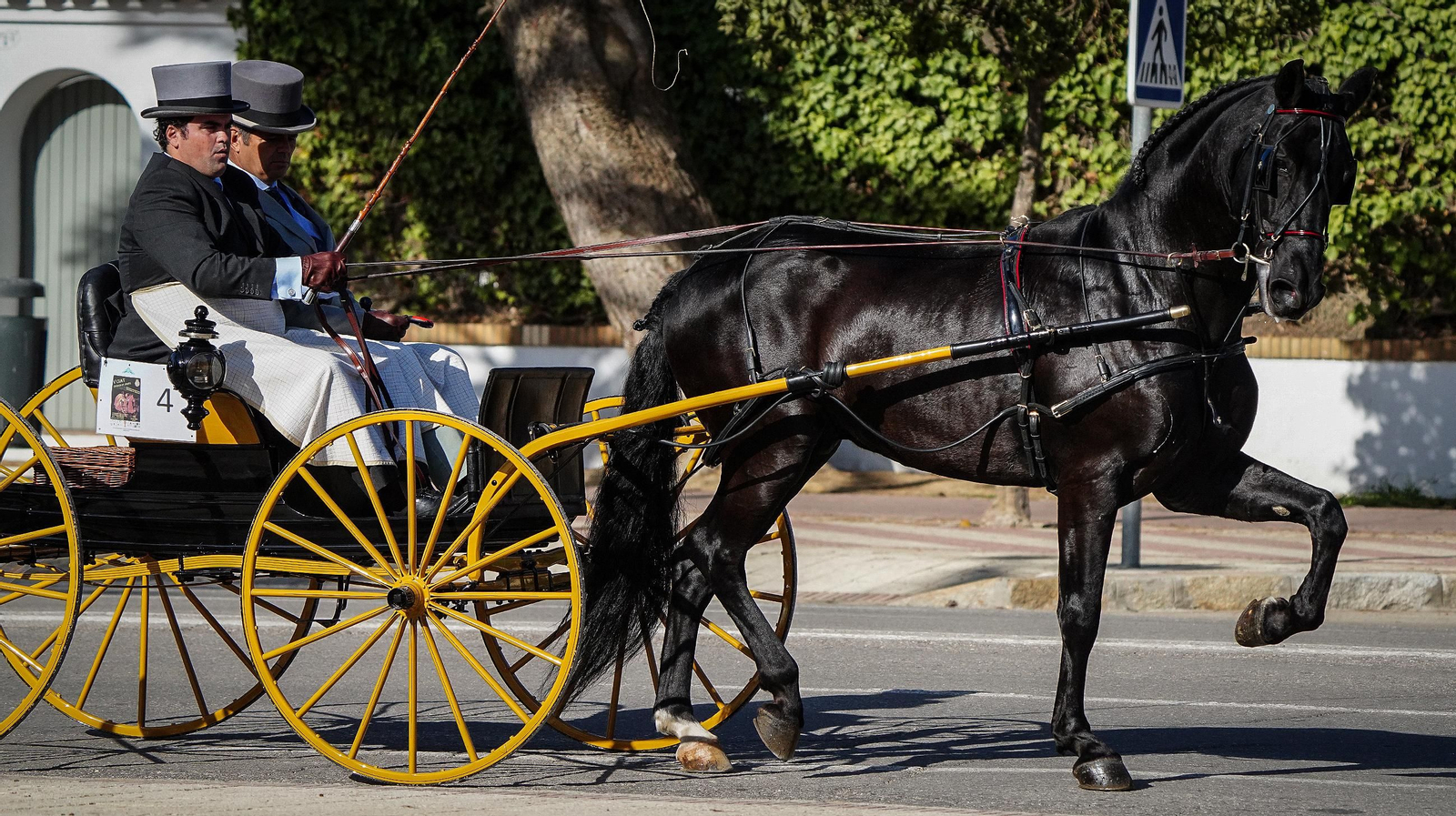 Tradición y elegancia en el Concurso Internacional de Enganches