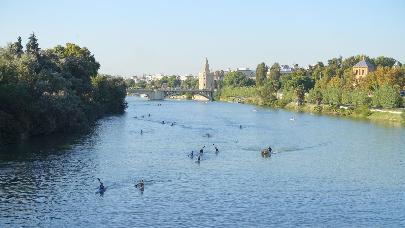 Kayaks Guadalquivir