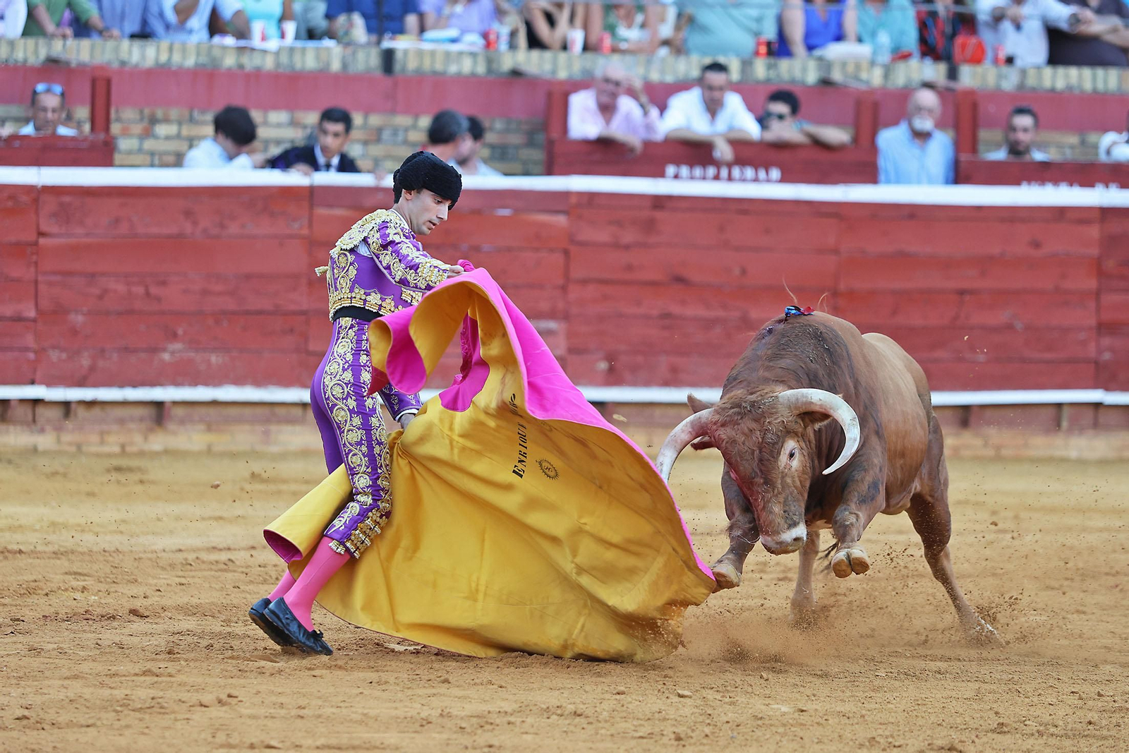 Toros La Merced 2024 Novillada con picadores(