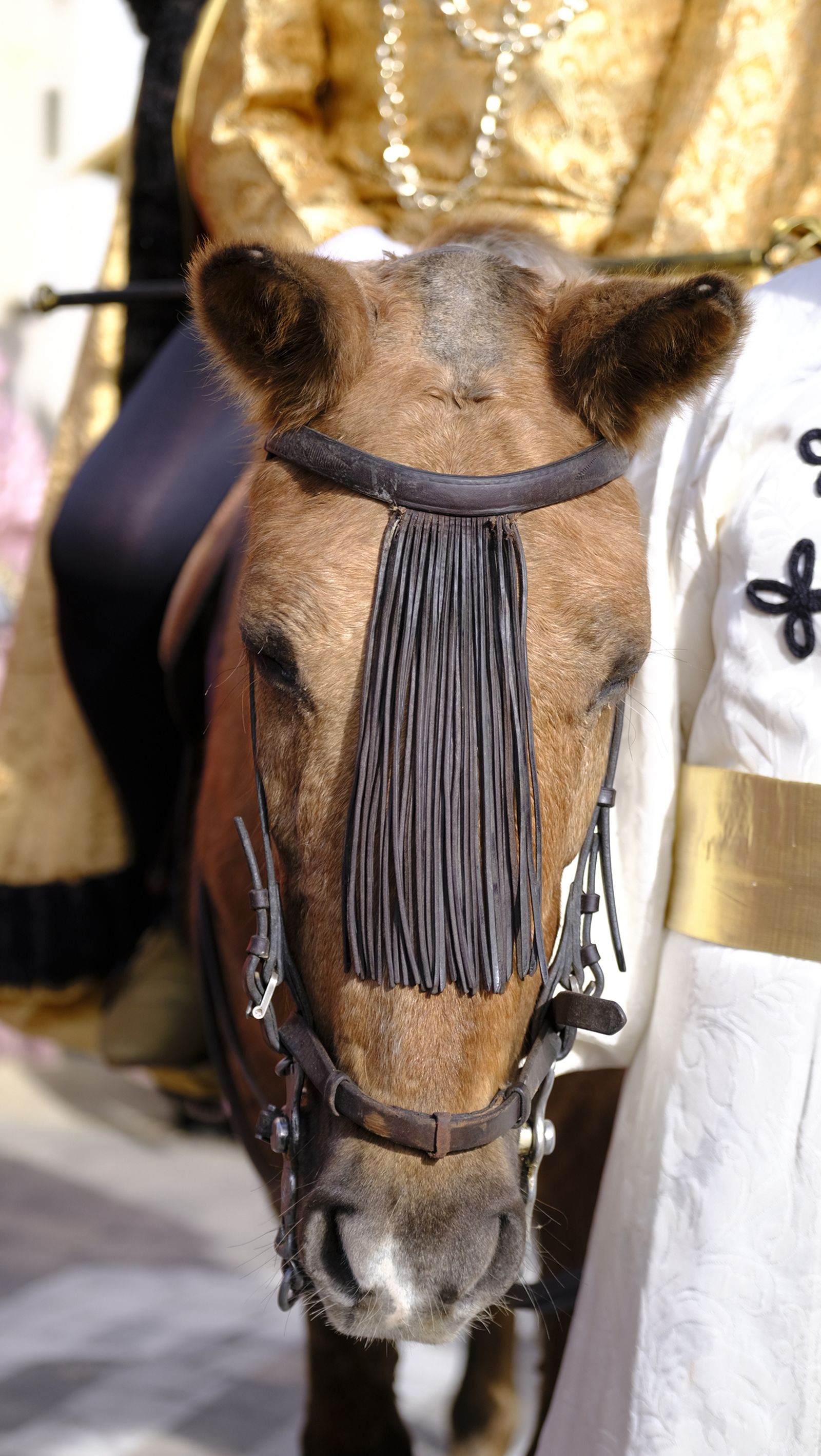 Las fotos del Auto Sacramental de los Reyes Magos en Los Gallardos