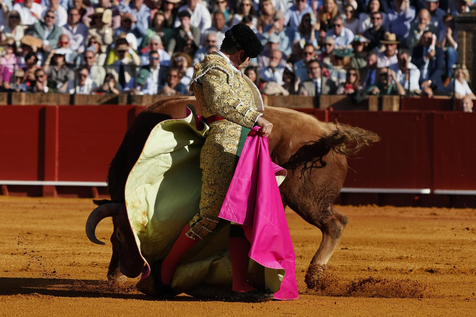 Las imágenes de la corrida