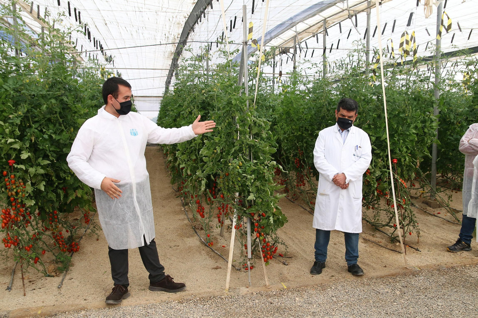 Fotogalería de la presentación de Plataforma Tierra, de Cajamar e IBM