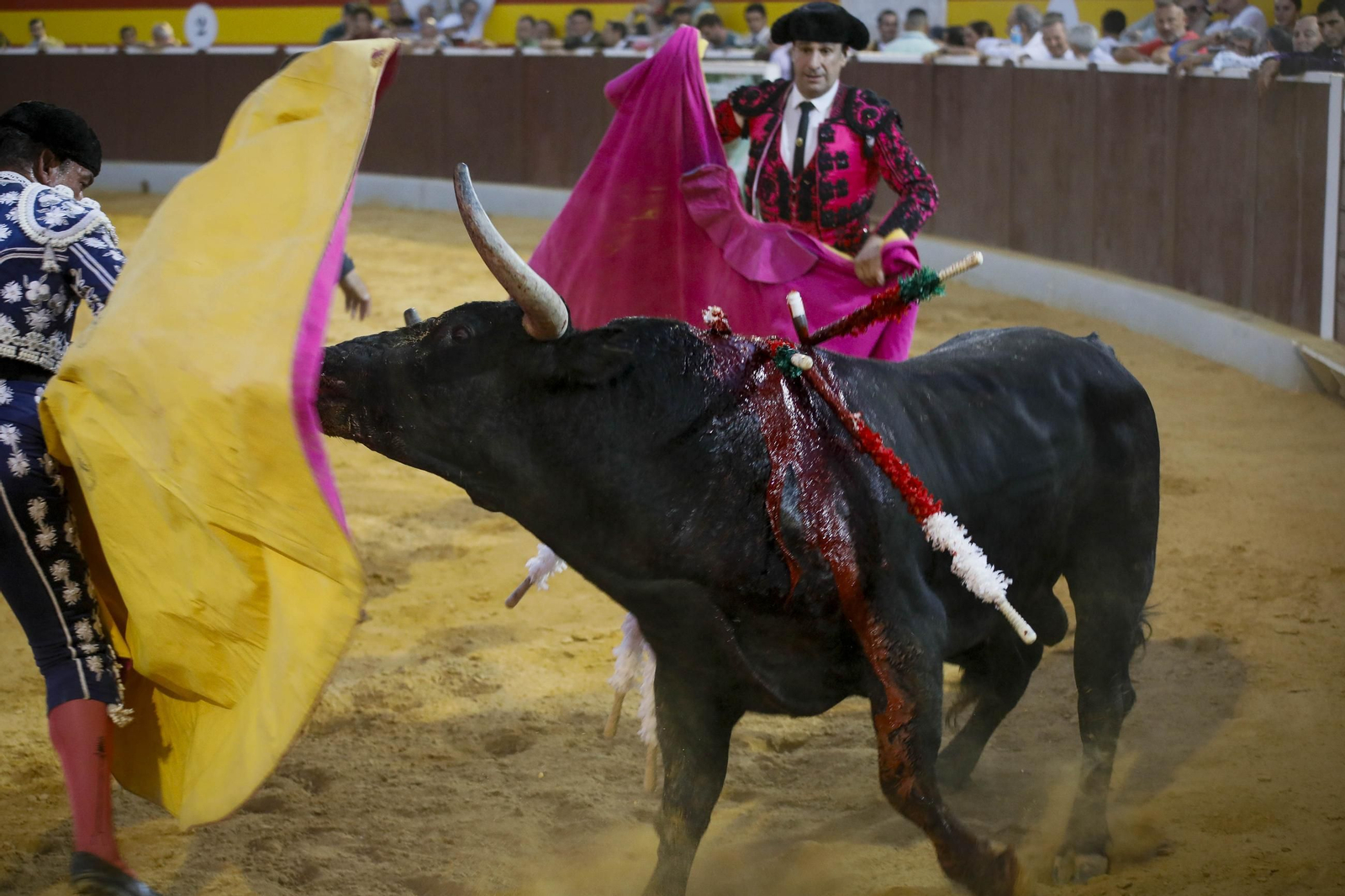 Corrida de toros Berja con un toro indultado, en imágenes