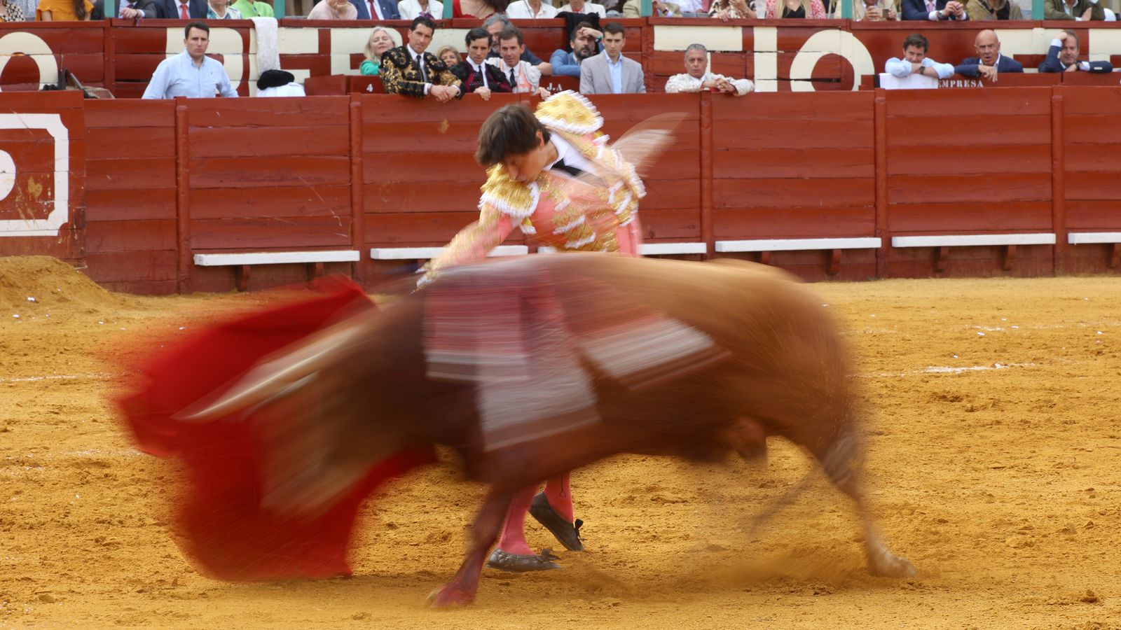 Tercera tarde de toros y última de la Feria de Jerez con Morante, Juan Ortega y Roca Rey
