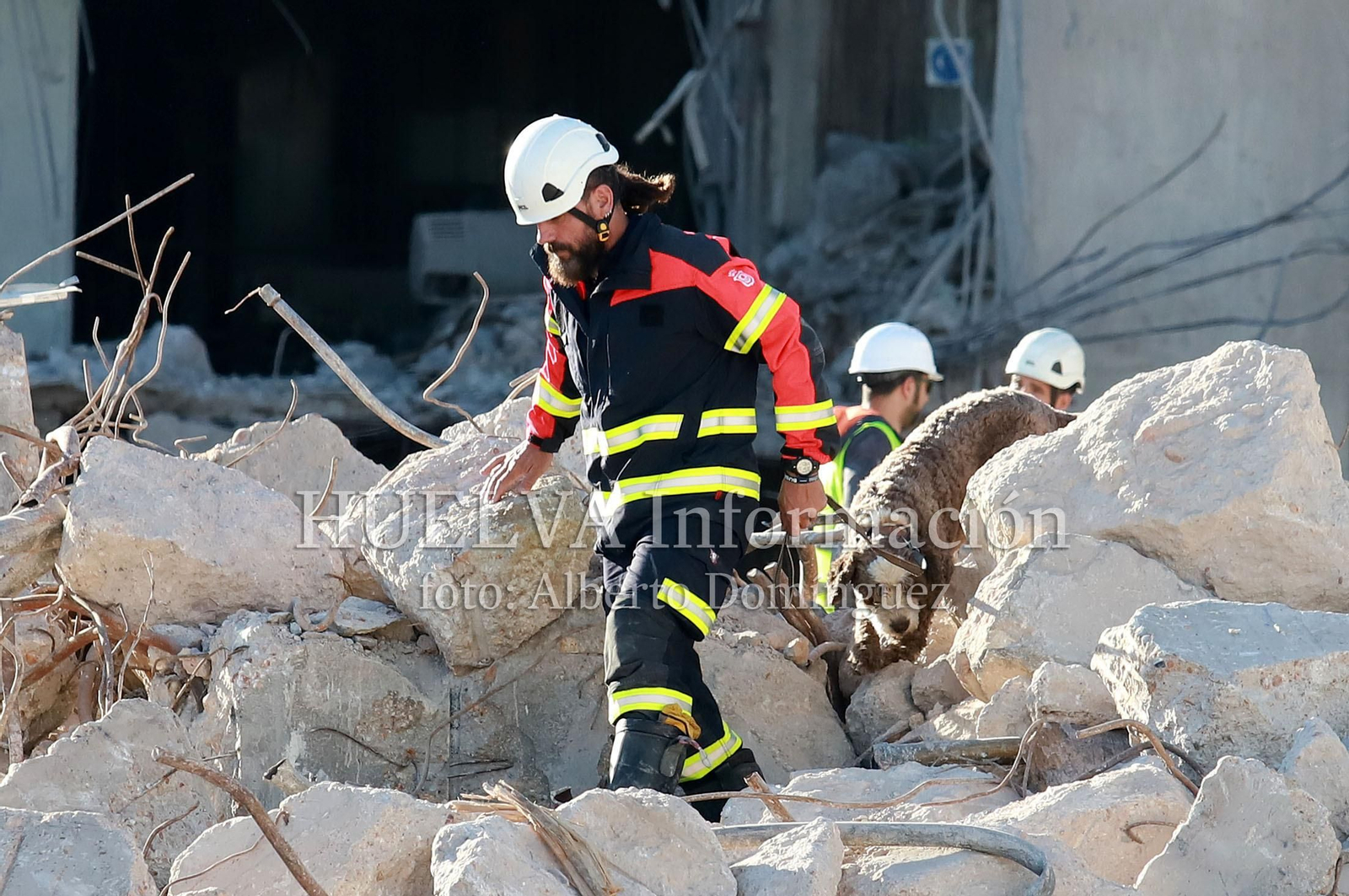 Imágenes del simulacro de los Bomberos de Huelva con la Unidad Canina