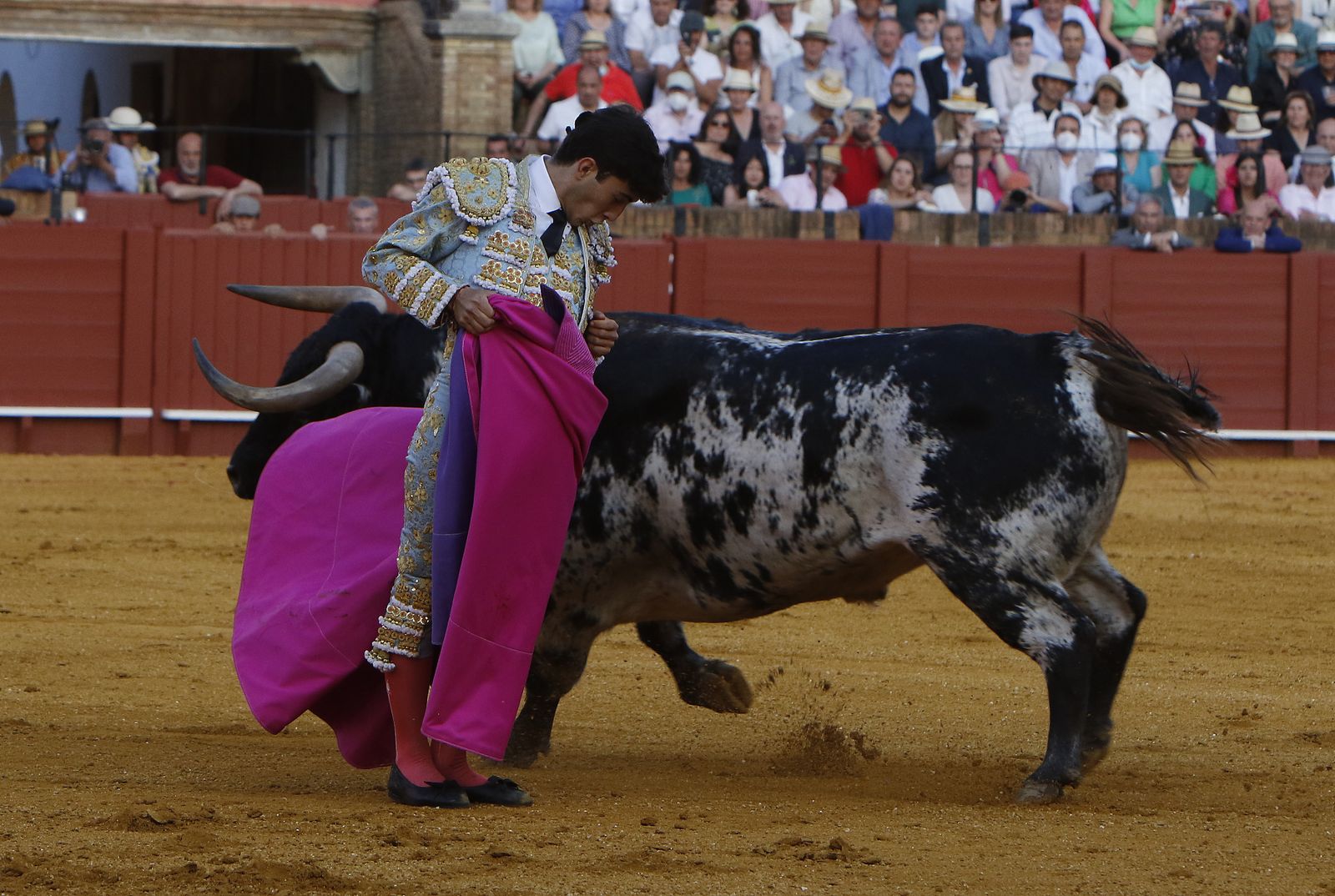 Toros.Morante , El Juli y Perera