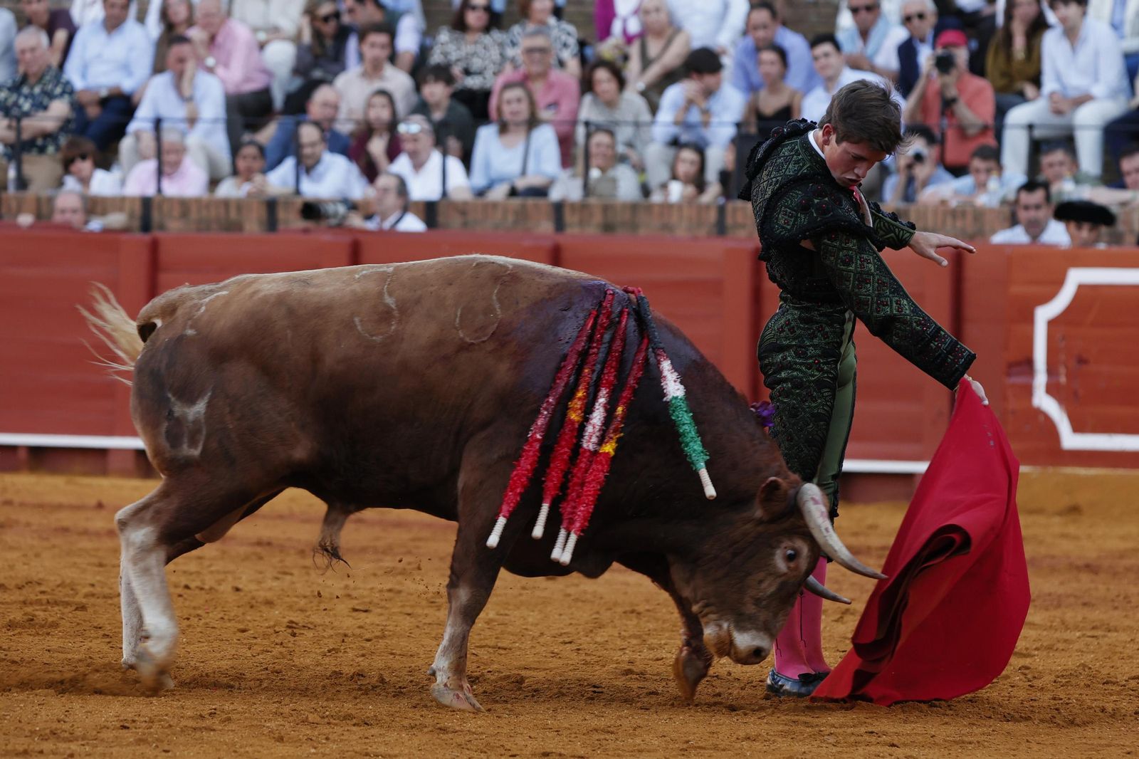 Las imágenes de la Novillada