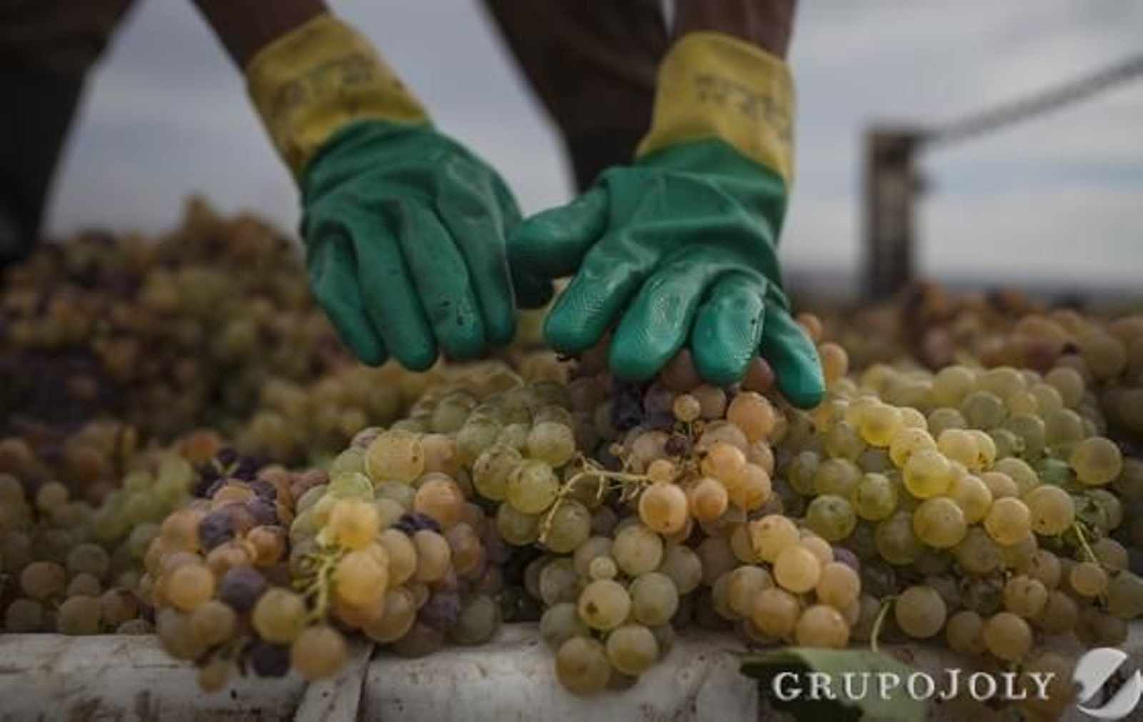 Foto: Antonio Pizarro