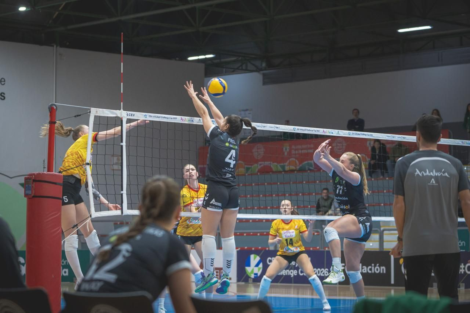 Las fotos del Fundación Cajasol Andalucía-Dynamo Apeldoorn