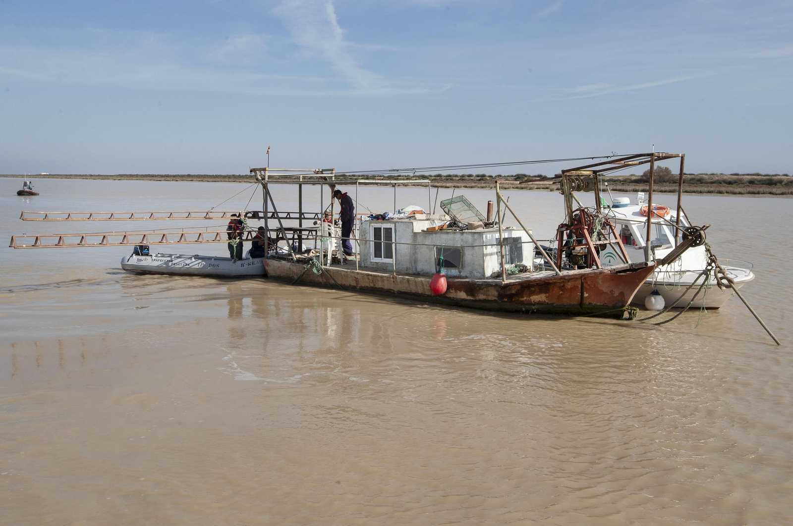 Operación Ave  fenix contra la pesca  de la angula