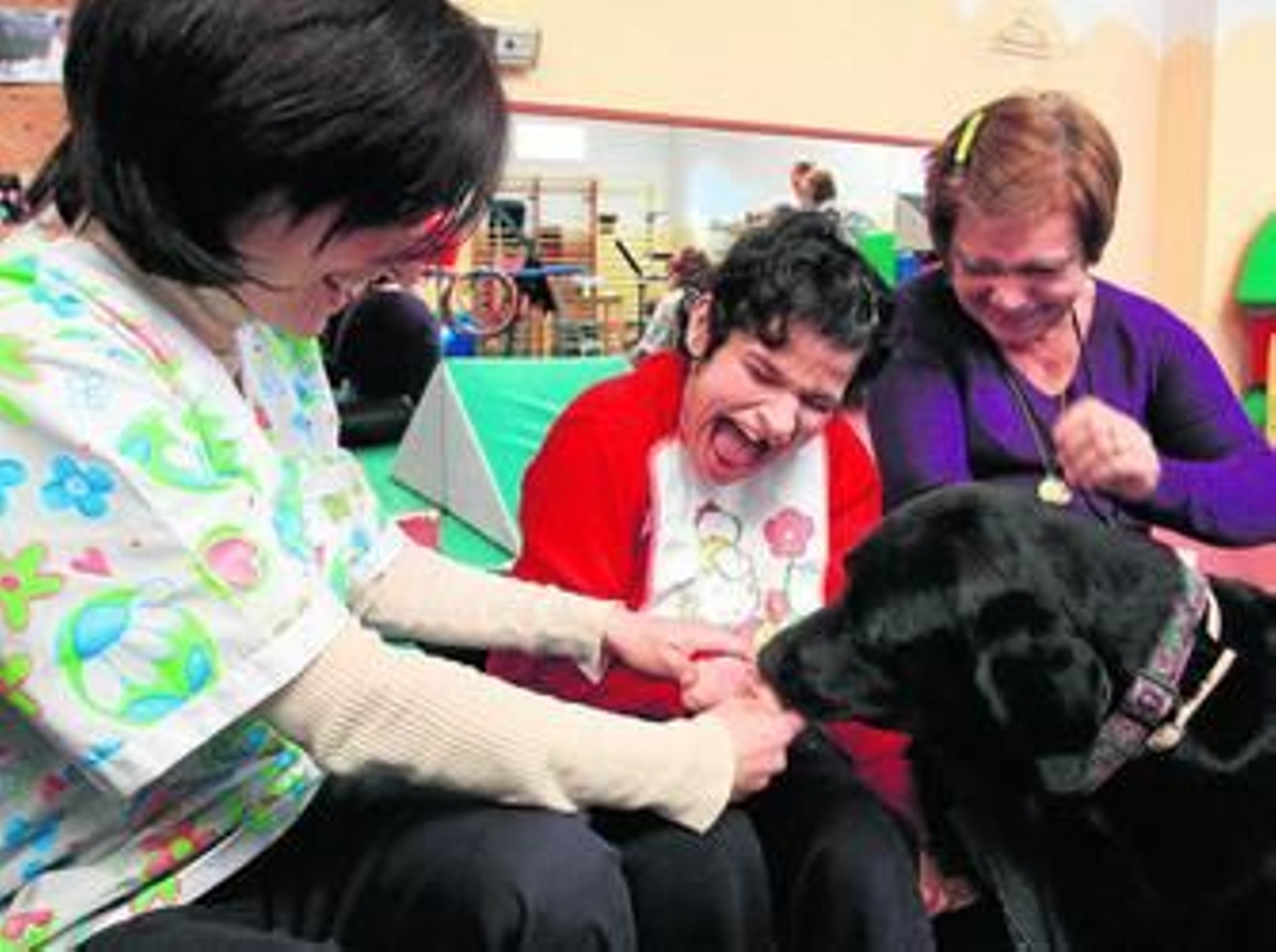 El estímulo del cariño de un perro El estímulo del cariño de un perro