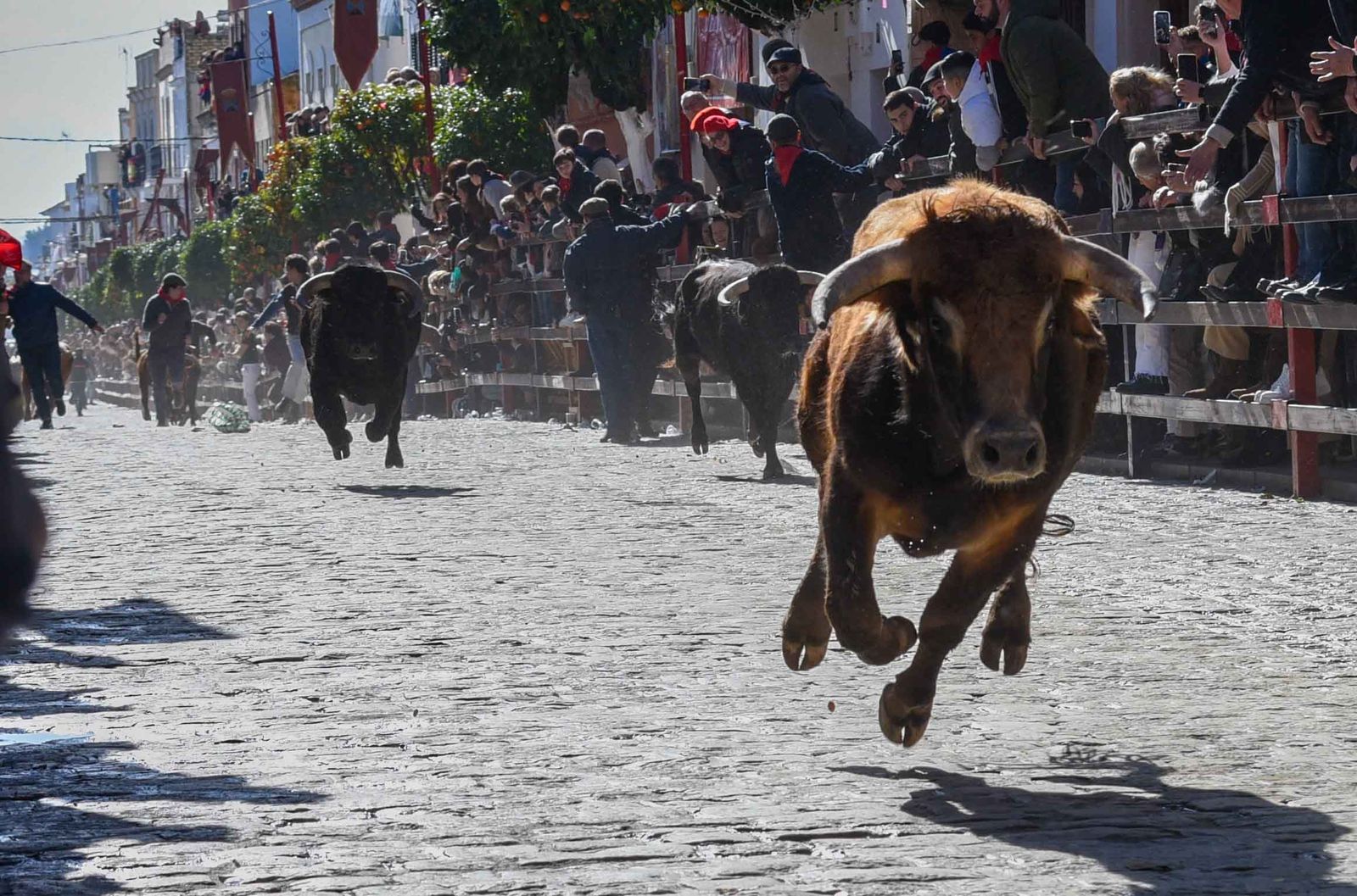 Las imágenes de los festejos de San Sebastián en La Puebla del Río 2026