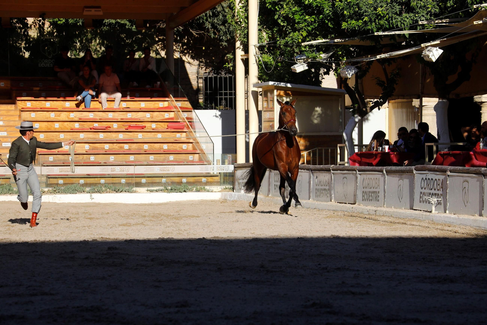 Cabalcor Cabalcor