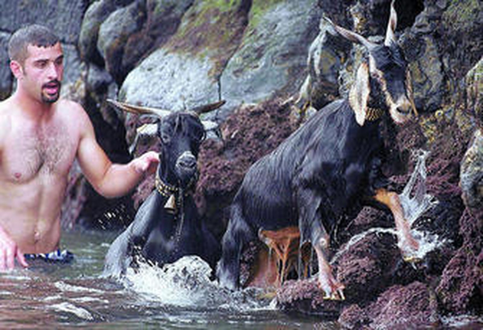 Contra el archivo del caso Holgado