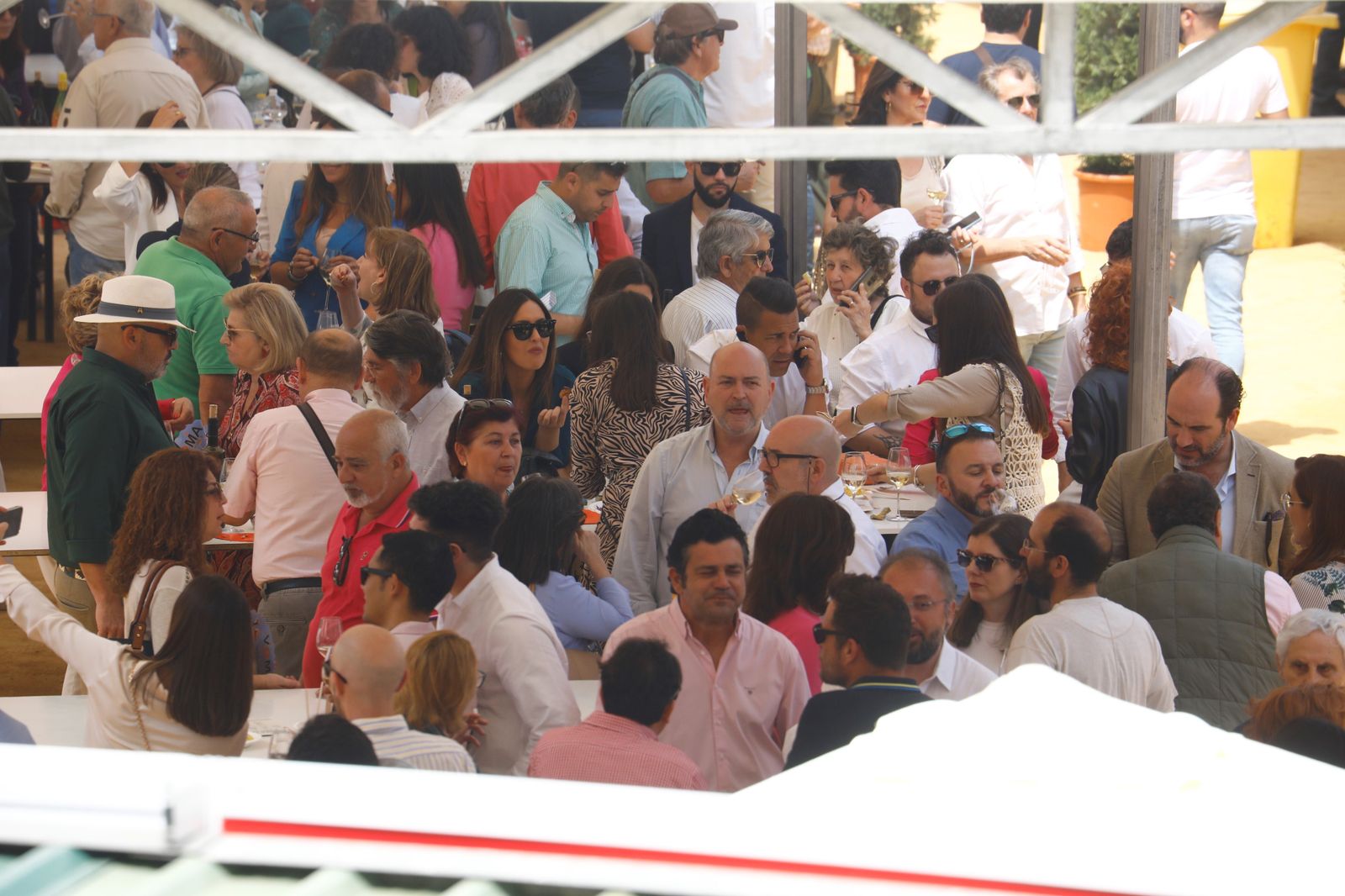 El viernes en la Cata del Vino de Córdoba, en imágenes