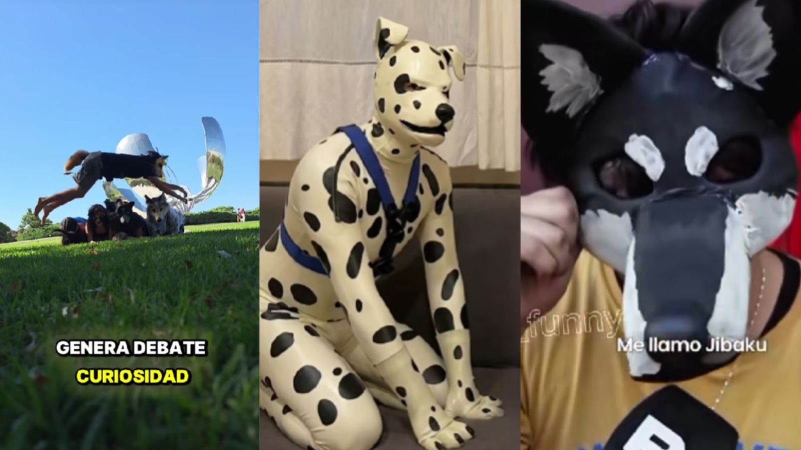 Los 'therians' de identifican de forma parcial e involuntaria con su animal 'teriotipo'.