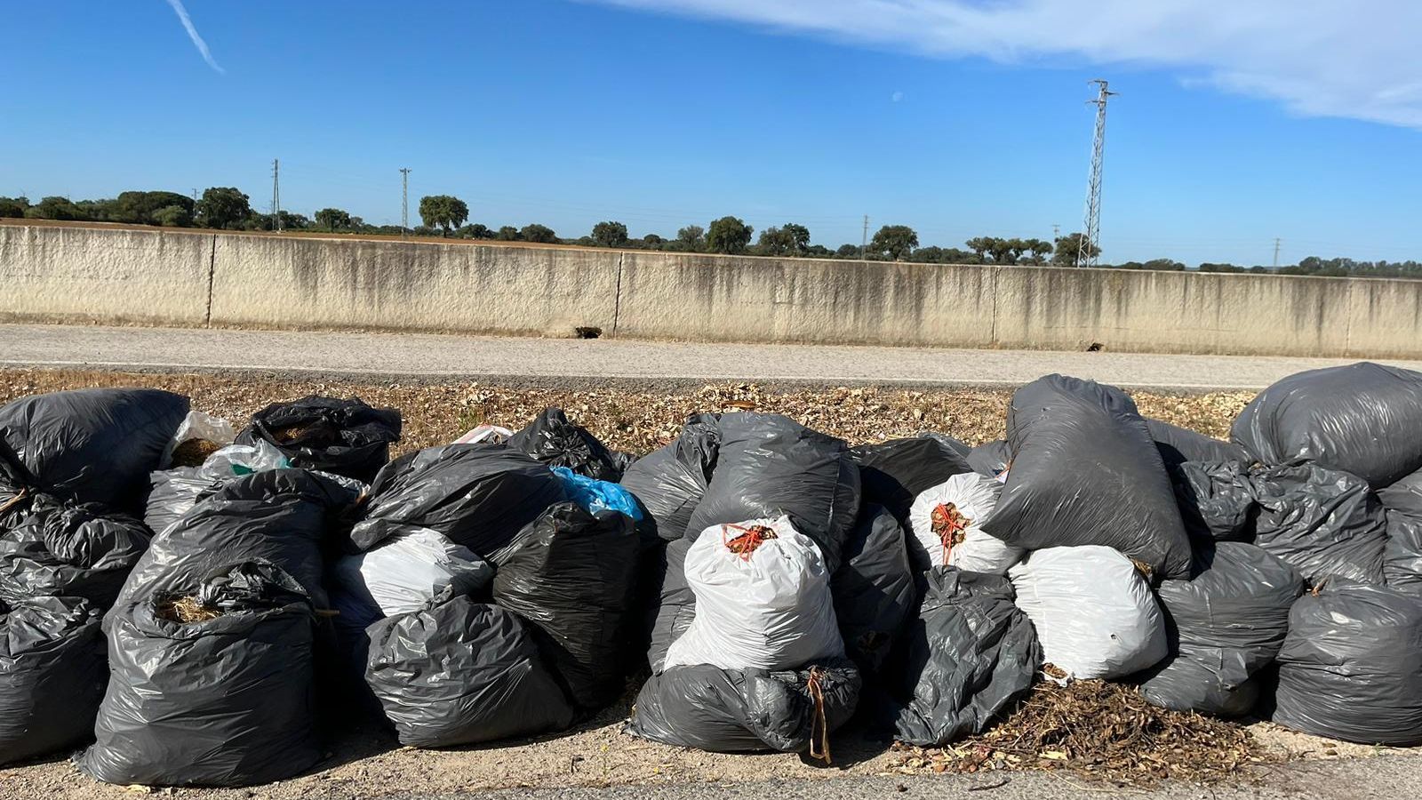 Acumulación de bolsas junto a los contenedores.