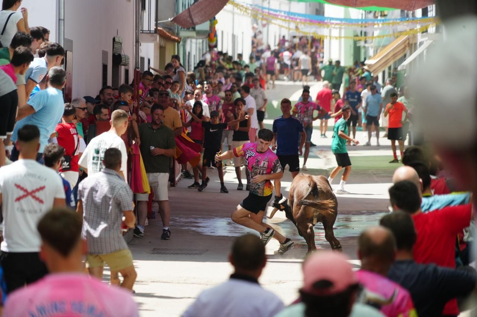 Las mejores imágenes del Día del Caballo y las Sevillanas de Dos Torres