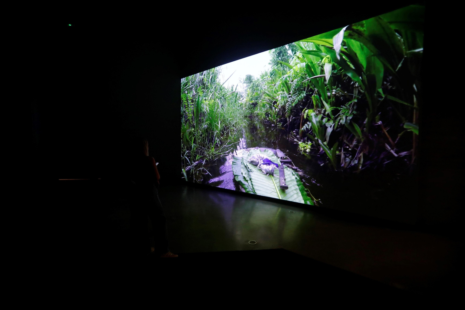 Las imágenes de la exposición 'Remedios: por los caminos ancestrales' en el C3A de Córdoba