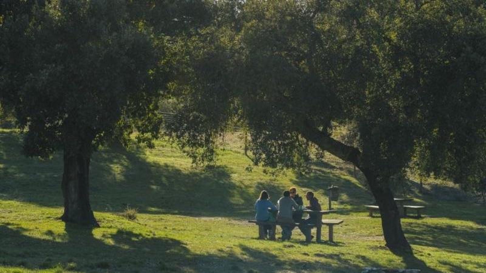 San Nicolás del Puerto