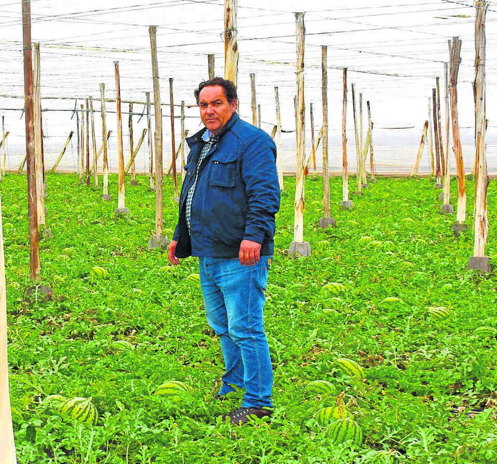 El concejal Manuel Moreno.