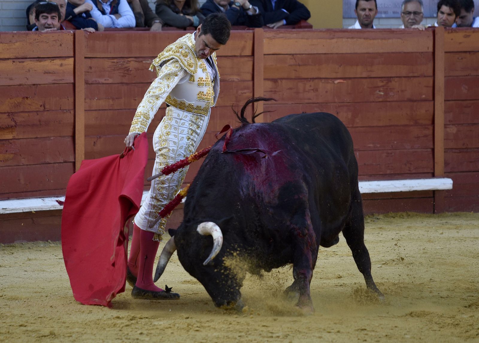 Las imágenes de la corrida en Morón con la reaparición de Jesulín de Ubrique