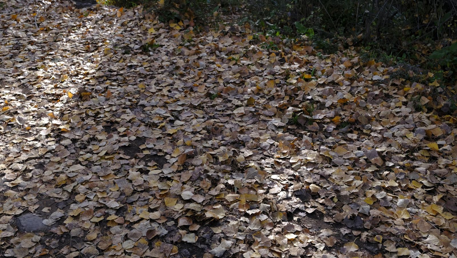 Limpieza y senderismo por la Alpujarra, en imágenes