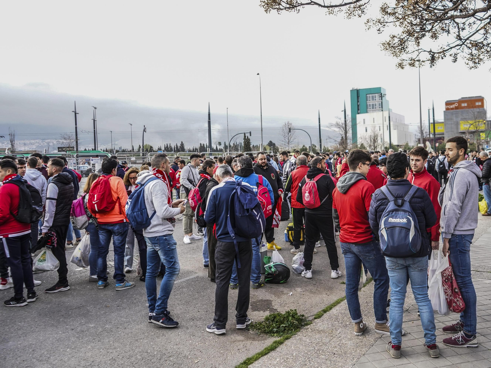 La afición del Granada CF se desplaza en masa a Albacete