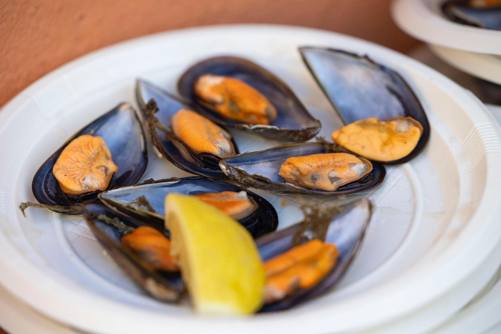 Búscate en las imágenes de la mejillonada popular