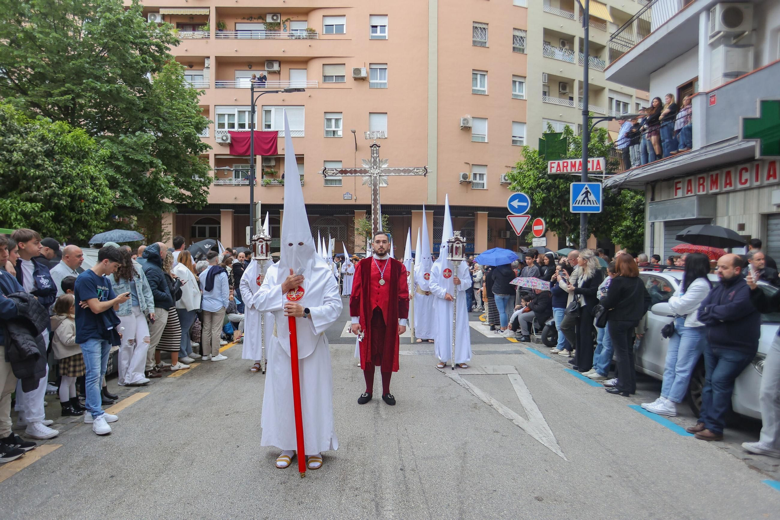 Así vivió Granada la suspensión de la Hermandad de Jesús Despojado 2025