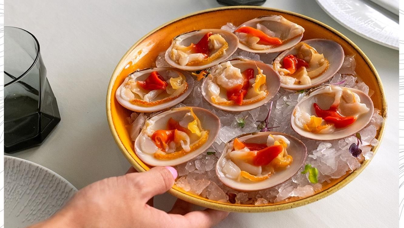 Conchas finas de Hermanos Alba.