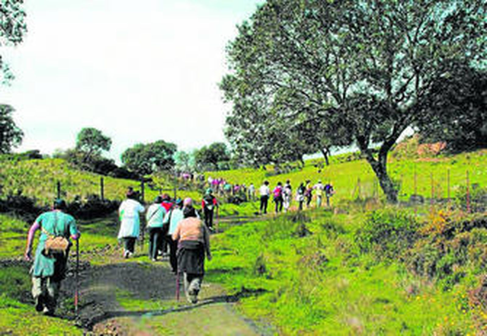 Rutas para una vida sana