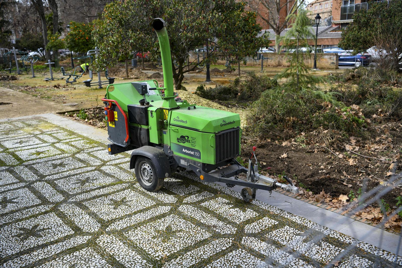 Fotos: así ha quedado la Plaza Escultor López Burgos tras otra poda en Granada