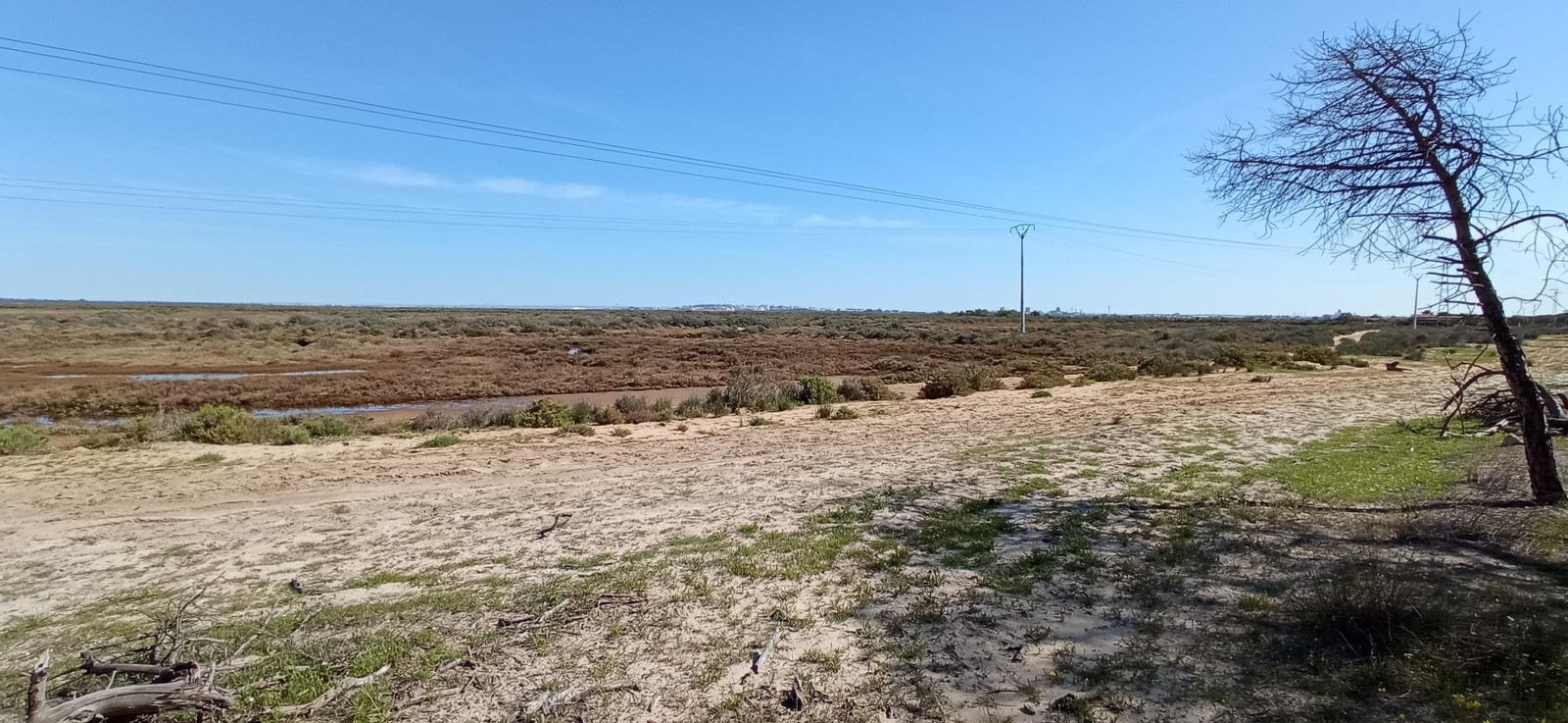 Las imágenes de la ruta de las salinas del Astur y los pinares de Punta Umbría