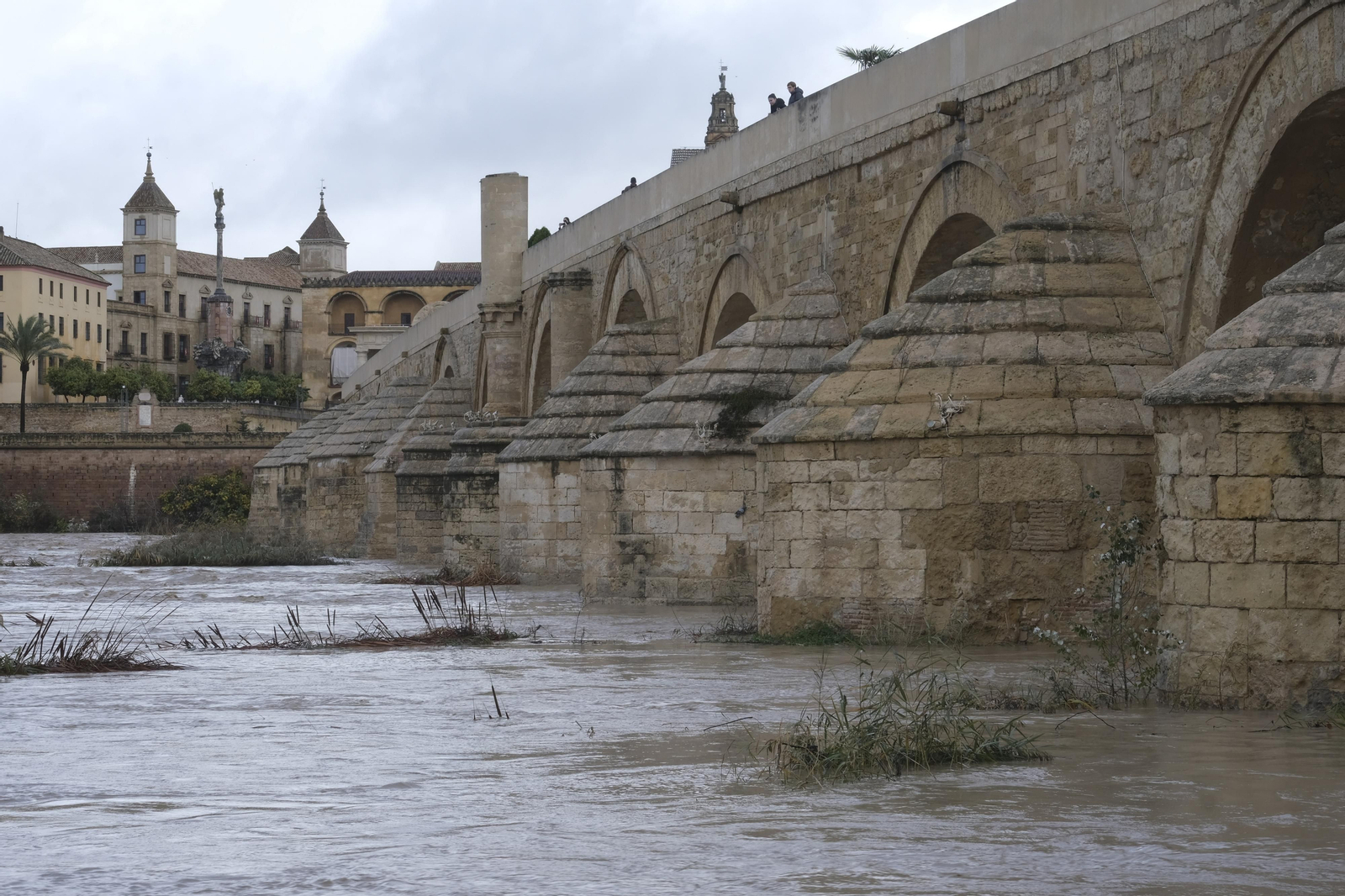 La crecida del río Guadalquivir tras las lluvias en Córdoba, en imágenes