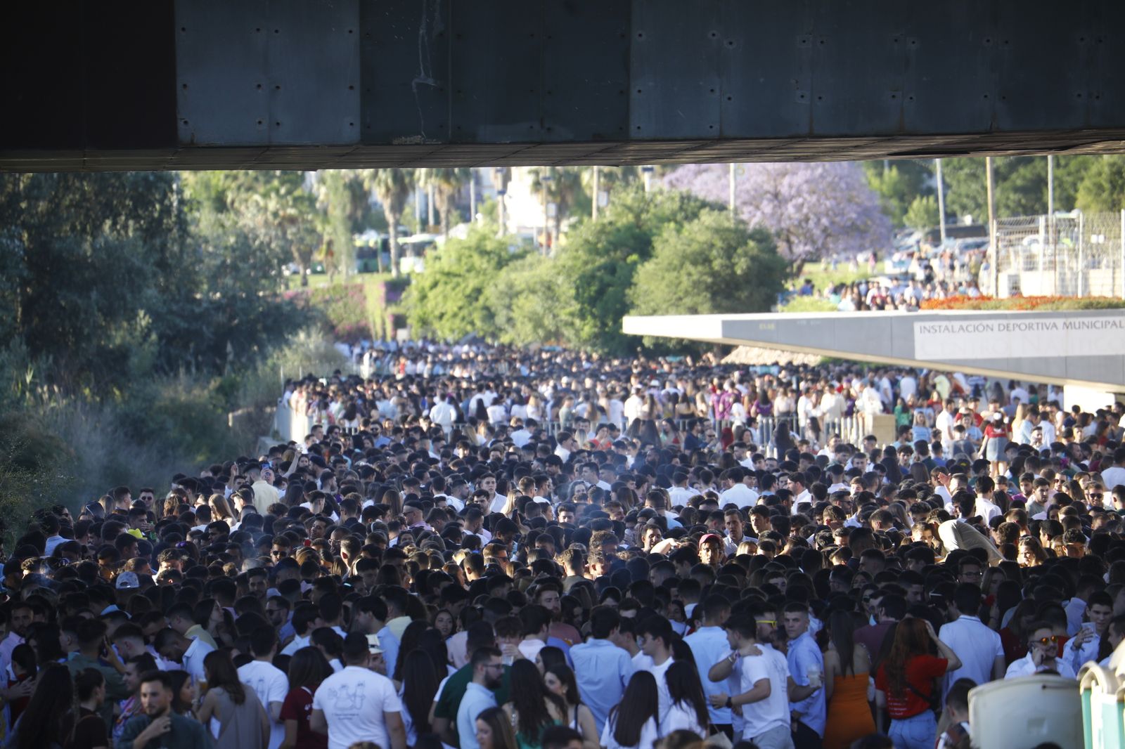 Feria de Córdoba: Las imágenes del botellón multitudinario, en imágenes