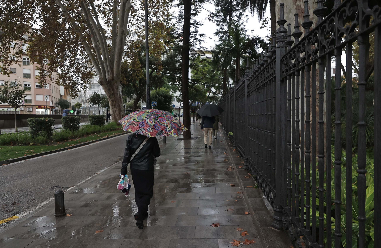 Fotos de la alerta naranja por lluvias en Algeciras