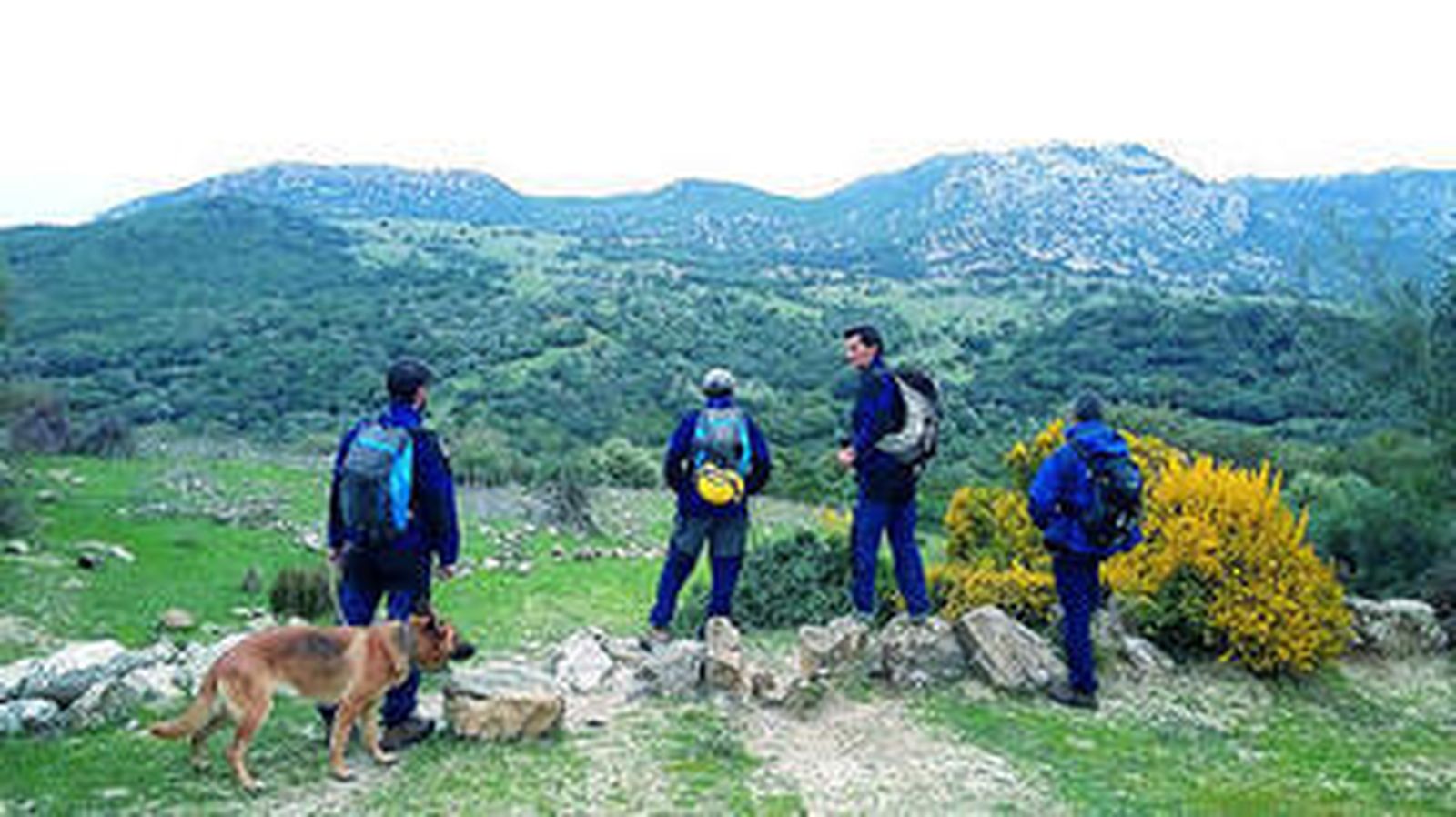 Cuerpos de seguridad desarrollando tareas de búsqueda.